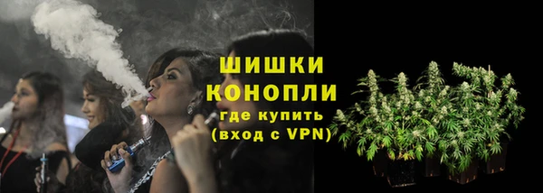 соль ск Пестово