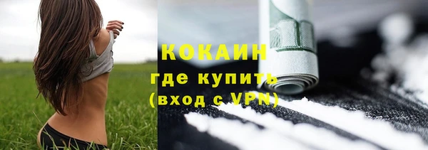 соль ск Пестово