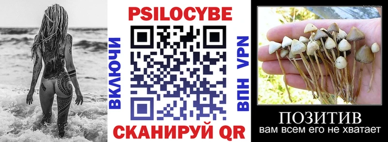 Галлюциногенные грибы MAGIC MUSHROOMS  Купить закладки  Апатиты 