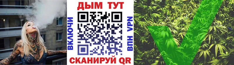 Шишки марихуана MAZAR  Купить где  Апатиты 